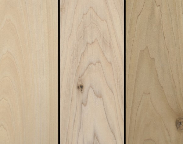 TULIPIER (TULIPWOOD) K.D.